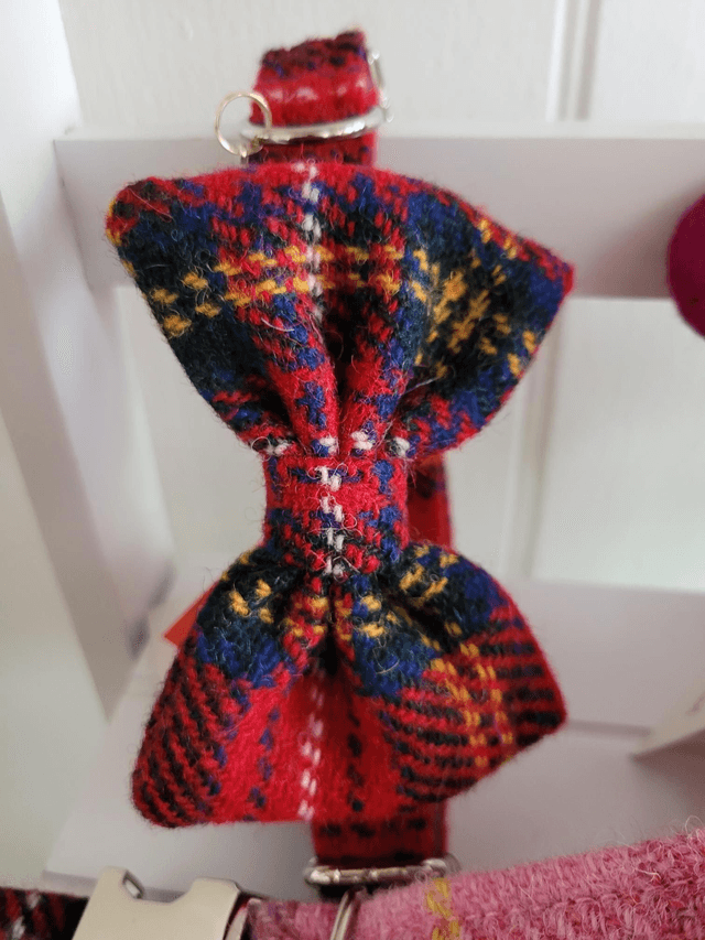 collar bow tie