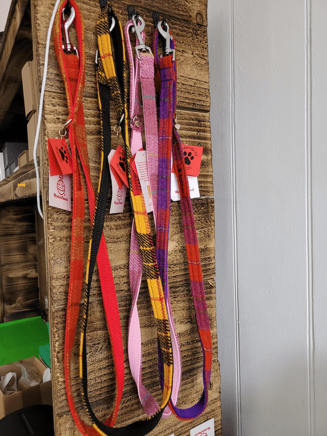 Dog leads